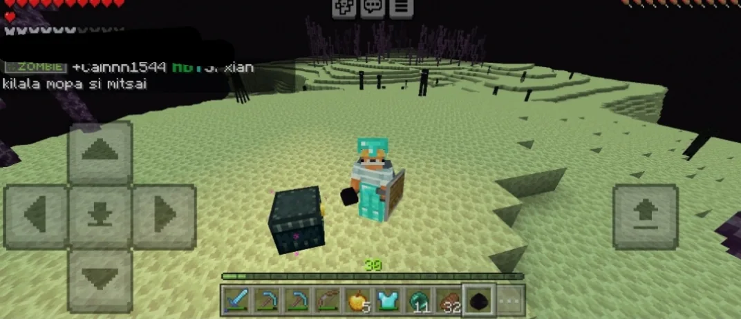 Guess what? Ubos ang lahat na elytra sa malalapit na end city, goodluck sa paghahanap sa malayo💞💞 and also about the dragon egg? walang kukuha neto sakin! LOVELOTS💞😘