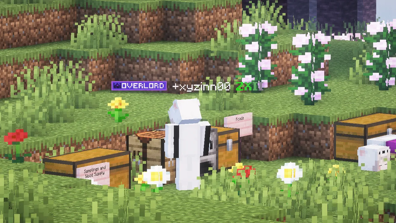 Pangatlong Overlord ng server, ang daya. Nasa isang team yung tatlo: @.xyzinn00 , itsmeynna , @.iTsMeJaS5817 . Team
