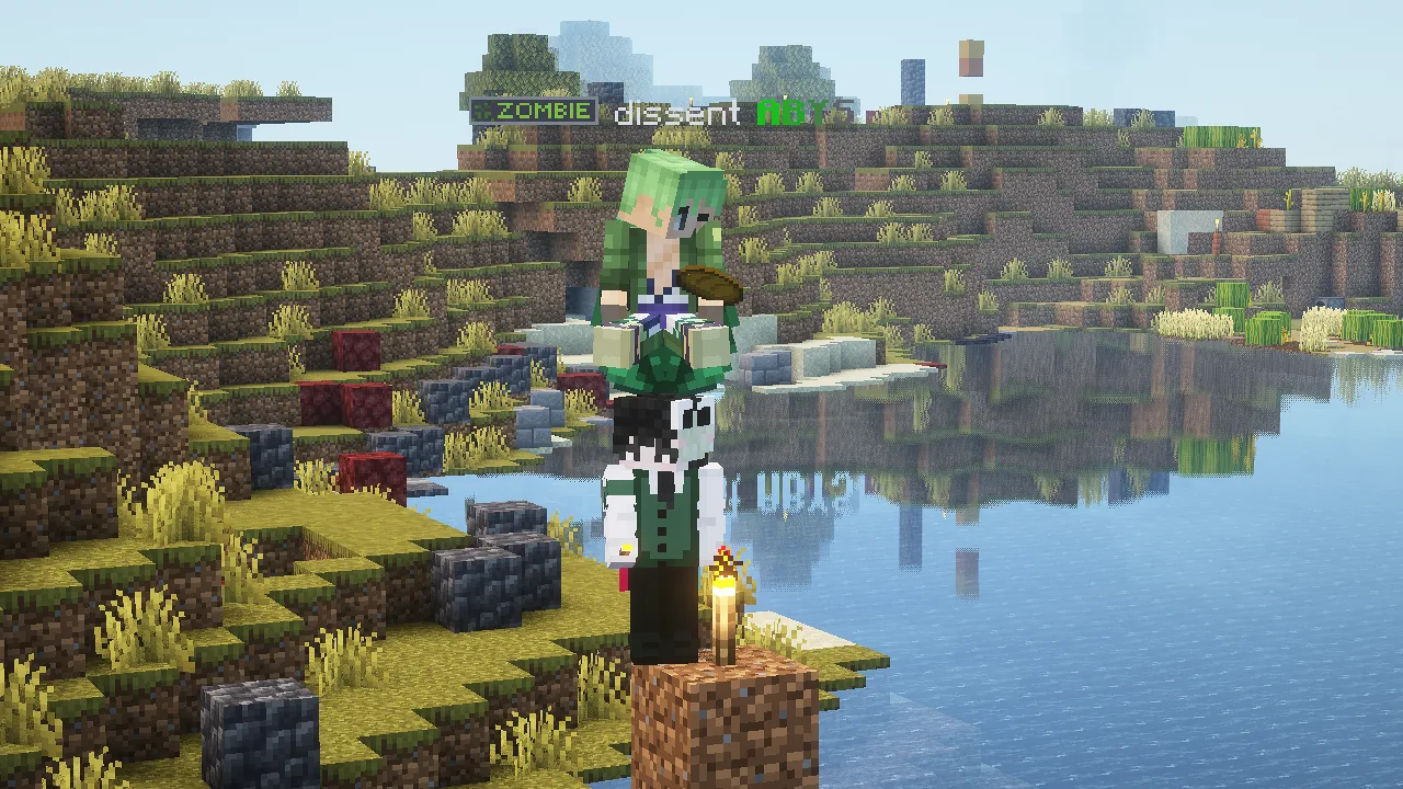 Zoro :