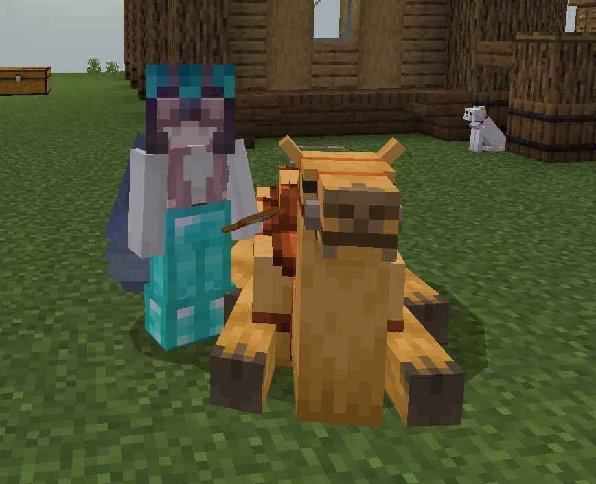 Bruhhh... nagrereklamo yung Camel ang bigat ko Daw 🤣
