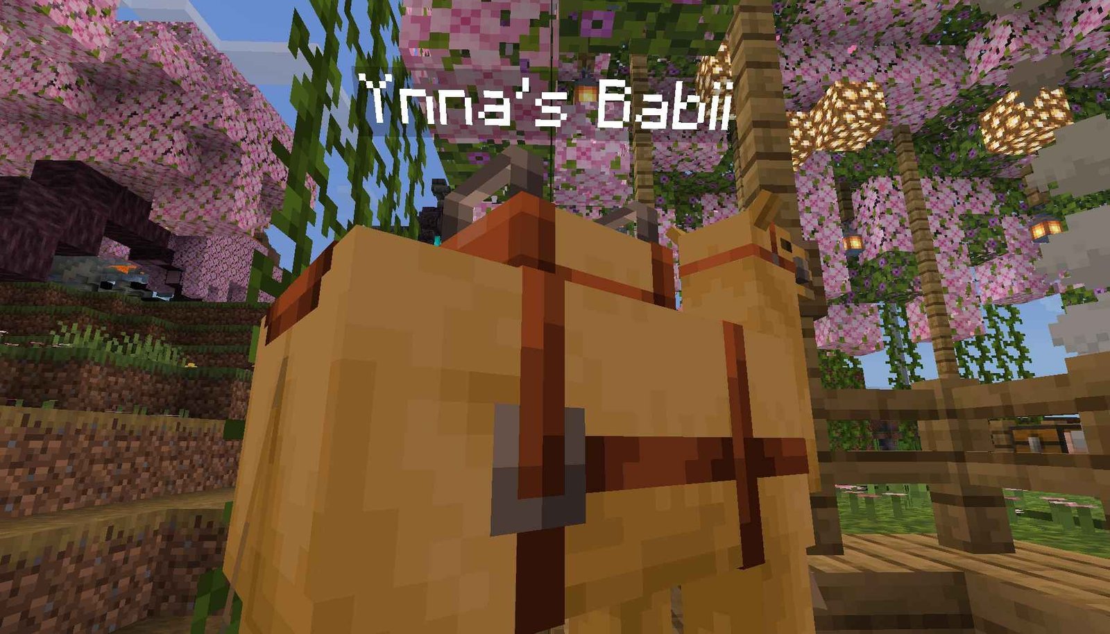 Animalnapped nayung Camel nyo 🤣 di nyo na maangkin may Name na kaydkgn vvaeae