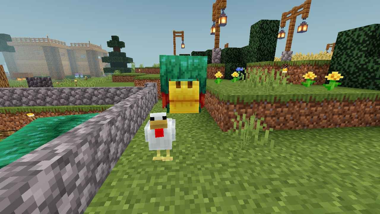 I'm Home from my departure... Graz gotten escaped from the broken fence.. But chicky want a picture with Graz... Another 4 wolves joined the party...