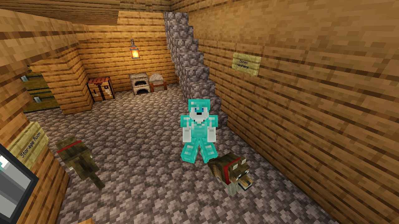 I'm Home from my departure... Graz gotten escaped from the broken fence.. But chicky want a picture with Graz... Another 4 wolves joined the party...