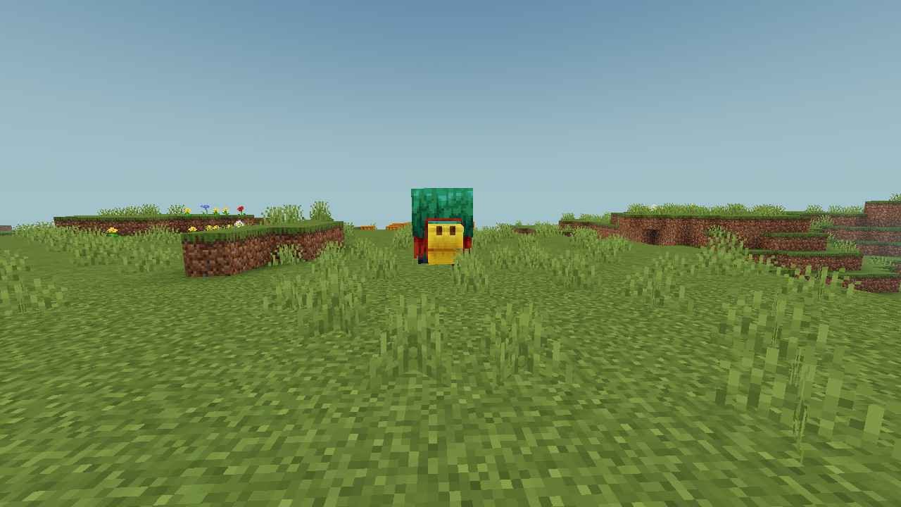 I'm Home from my departure... Graz gotten escaped from the broken fence.. But chicky want a picture with Graz... Another 4 wolves joined the party...