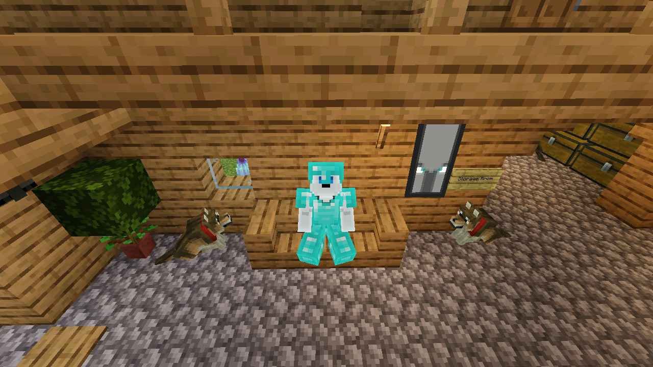 I'm Home from my departure... Graz gotten escaped from the broken fence.. But chicky want a picture with Graz... Another 4 wolves joined the party...