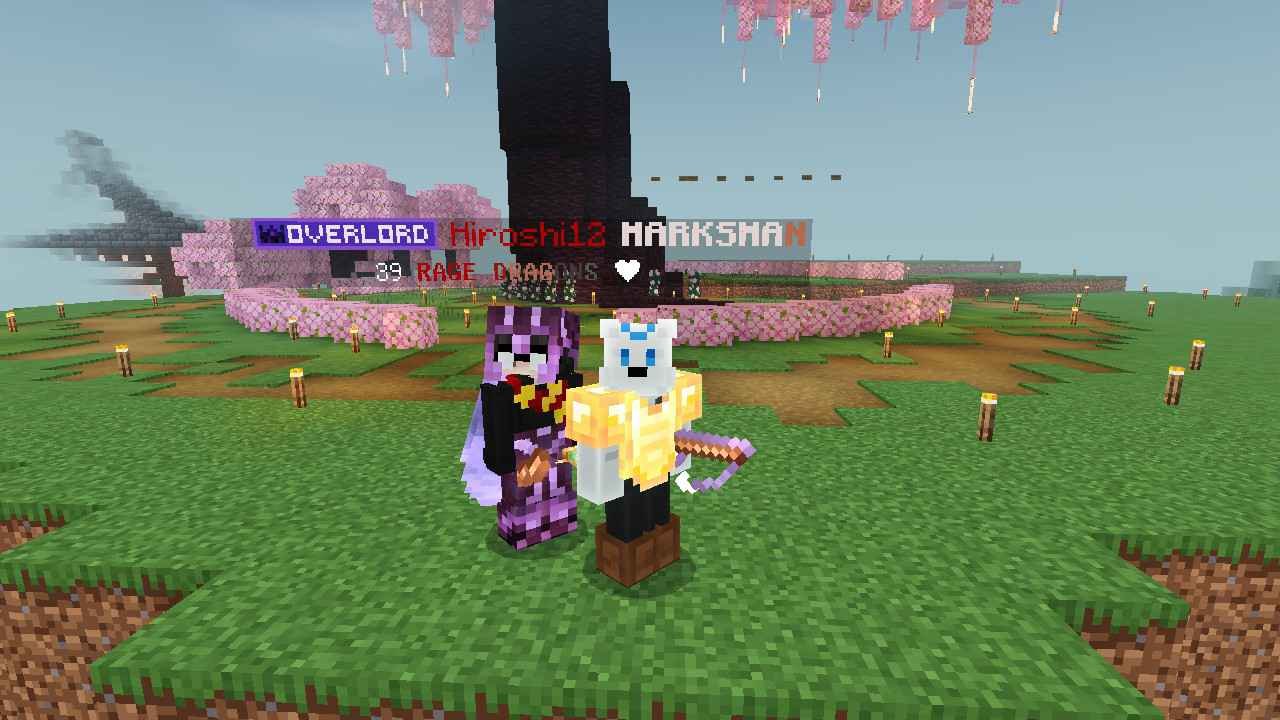 ## Take a Team Tour
01/20/2025
RP Name: NewBe SHDR (Only works on Patched Minecraft)
Captured by: @Rᴏᴜʟɪɴ 
Credits:
• @.BellaisHere8551 > • Hiroshi12
• Its_Error
• Dwayne
Thanks to let me visit your area that caught a curiosity and seriously it's EPIC
S+ TIER