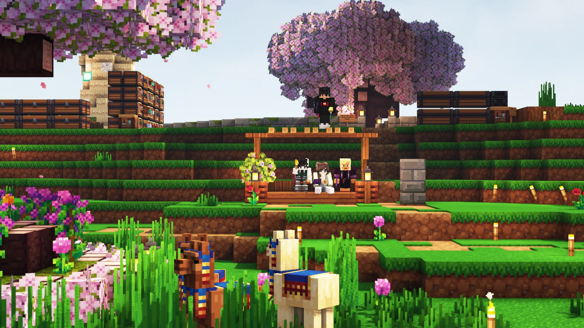 Screenshot by heyitsdorotheaa