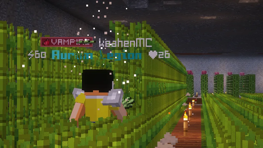Screenshot by J Corpse