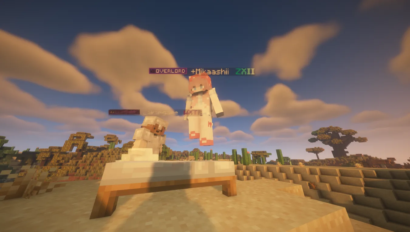 Pioneer server (late post)