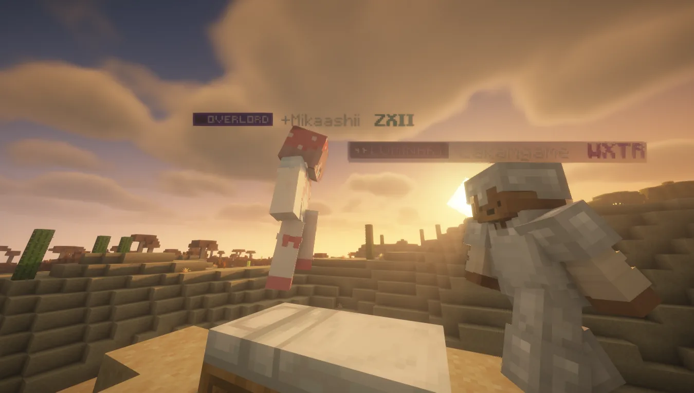 Pioneer server (late post)
