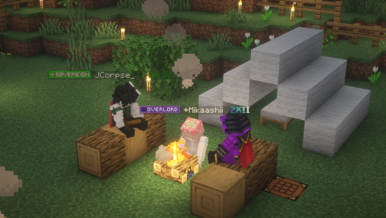 Pioneer server (late post)
