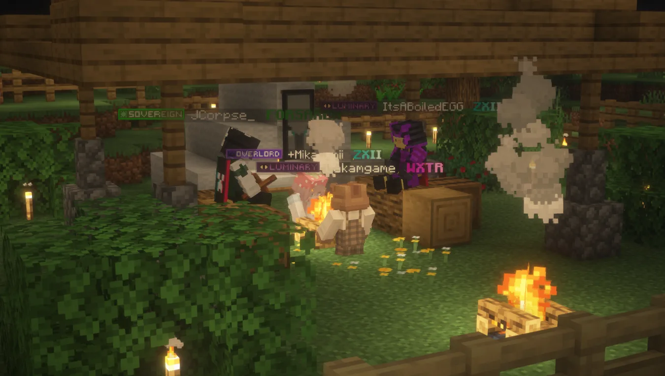 Pioneer server (late post)