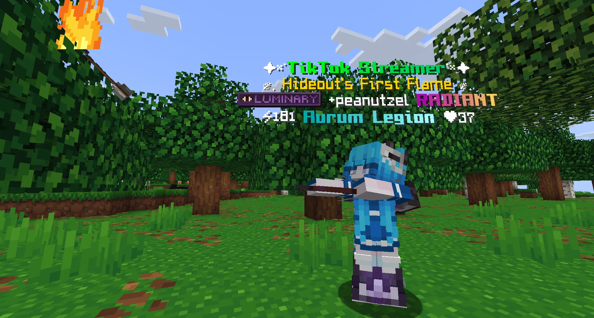 Screenshot by J Corpse