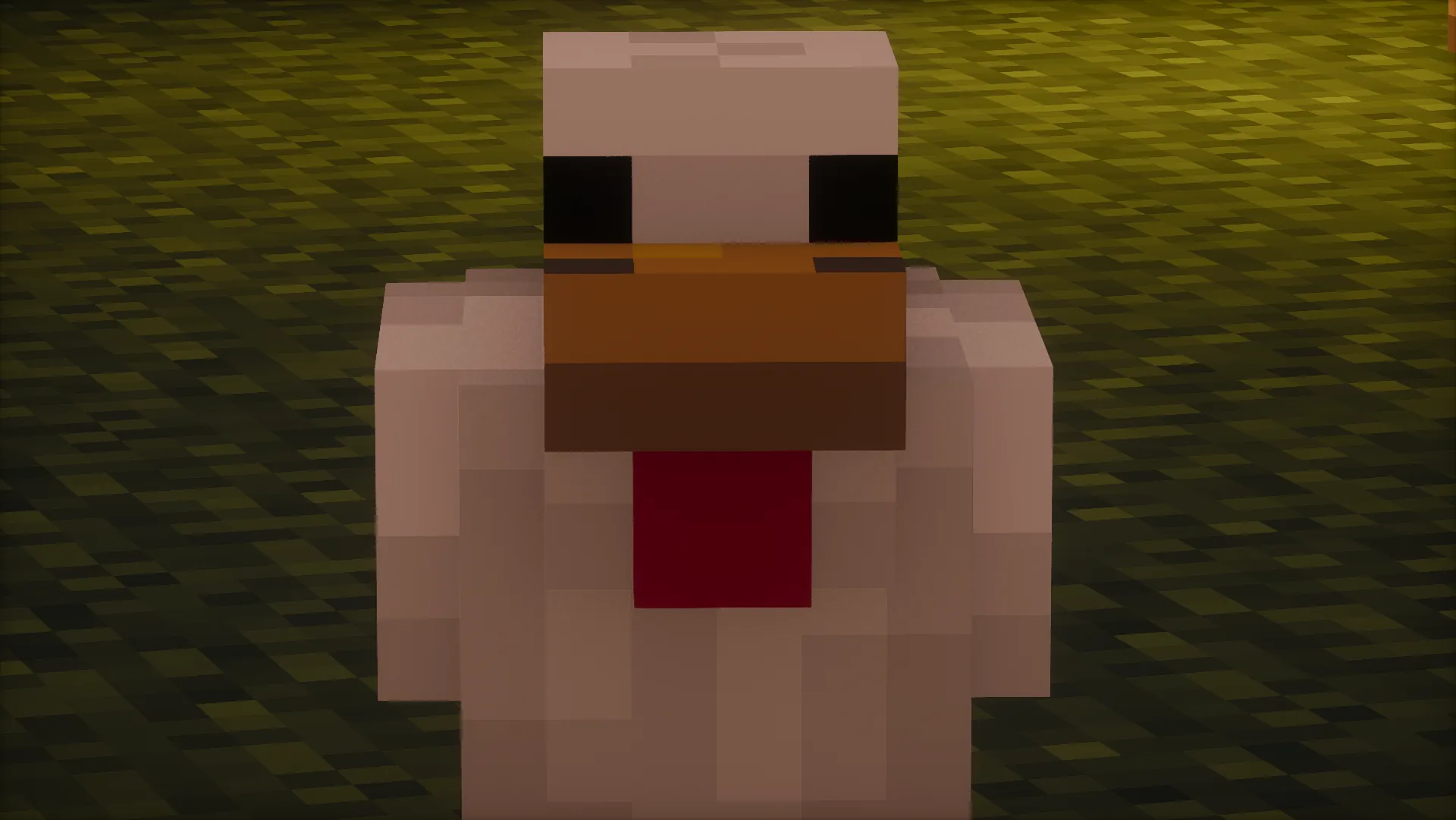 chicken