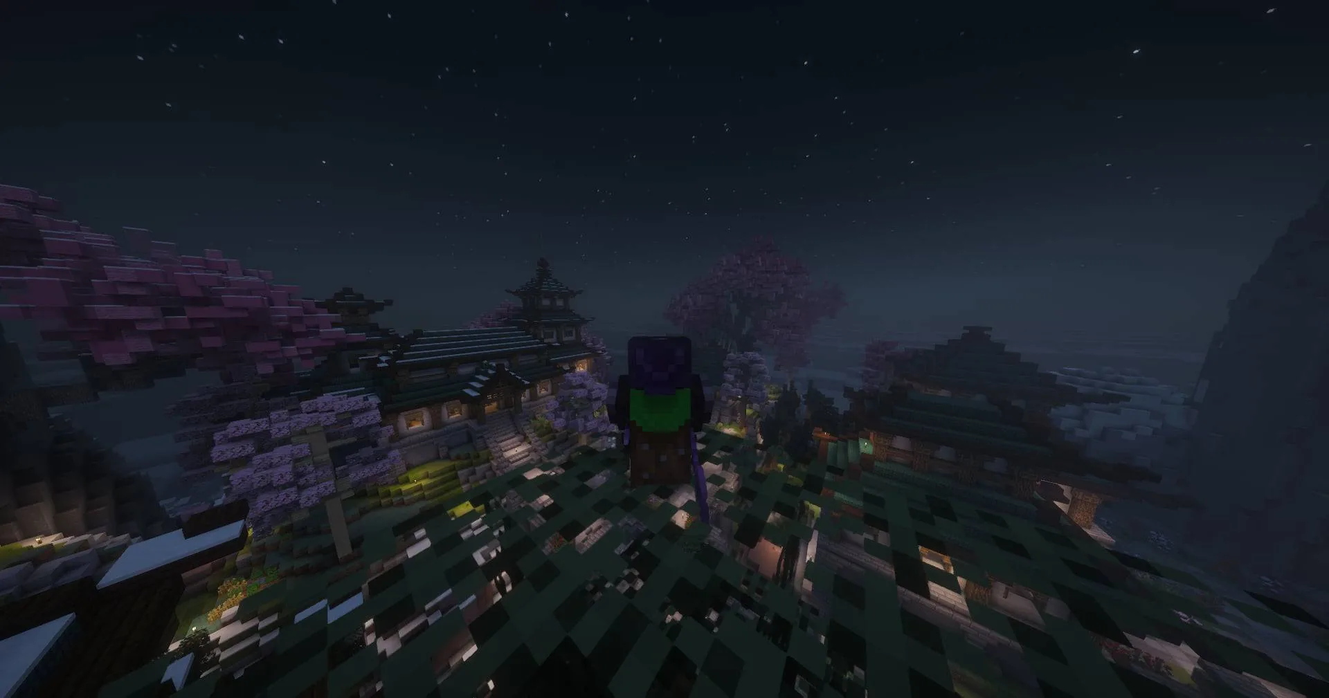 "Solo but never lonely the view is my companion."