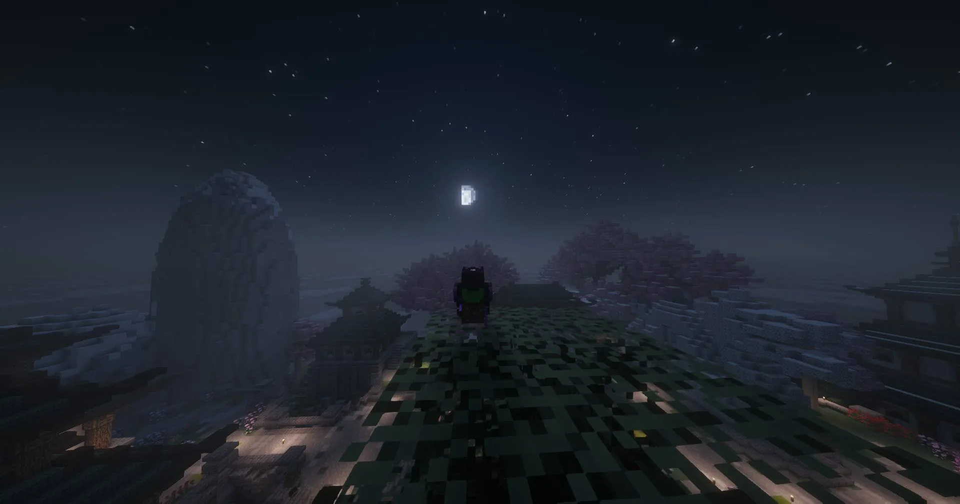 "Solo but never lonely the view is my companion."