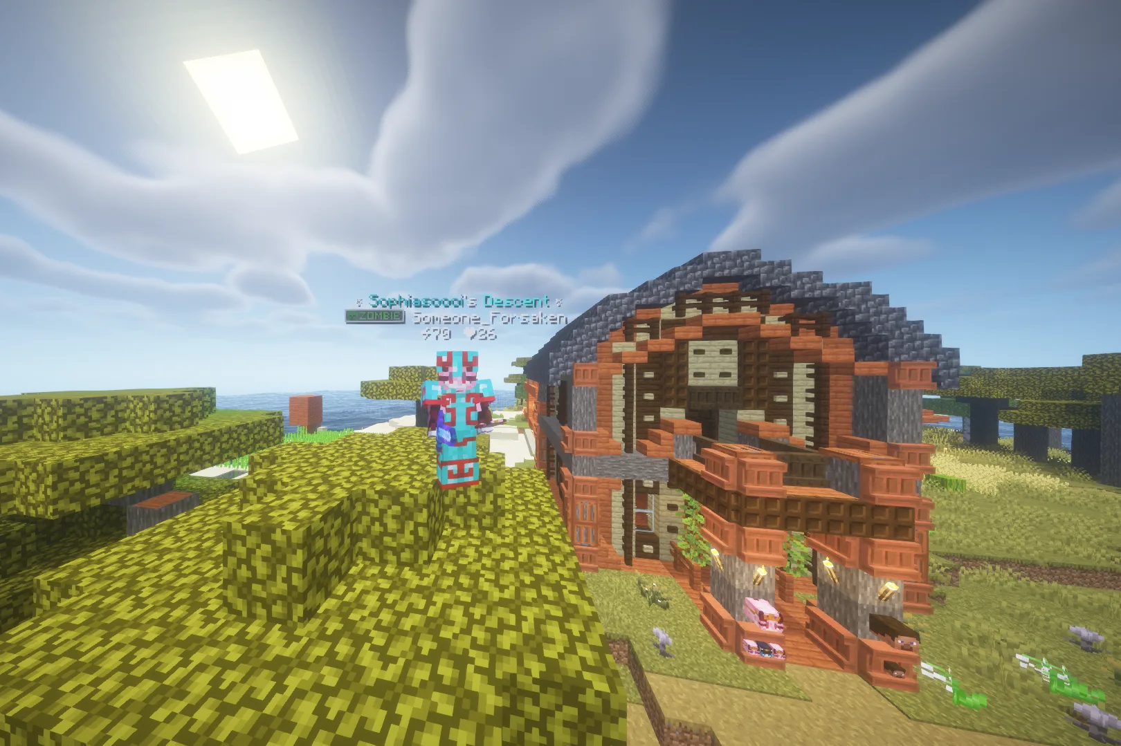 Screenshot by R8rn