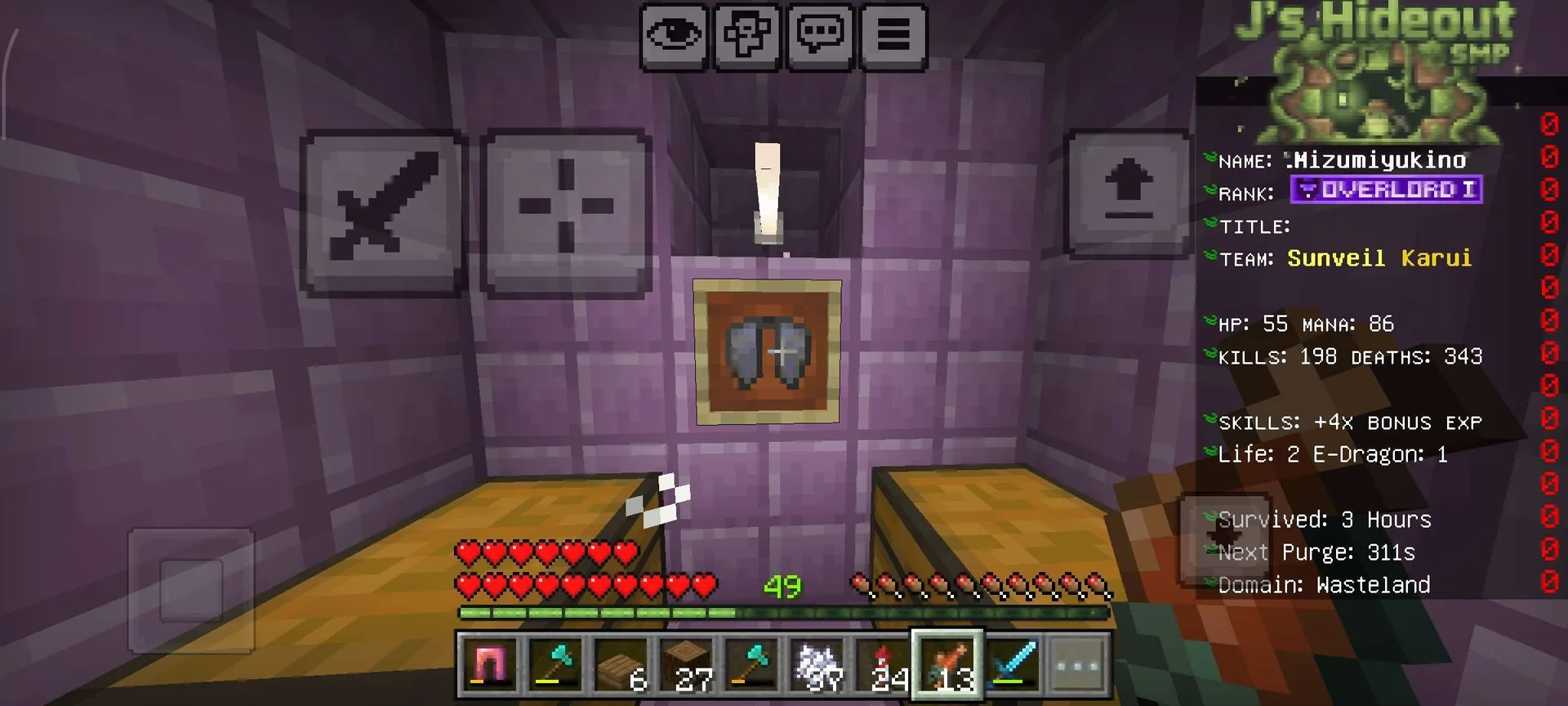 First elytra sa void
