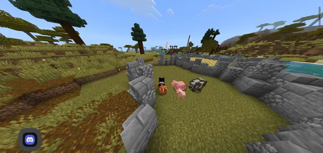 i love my new pets😍