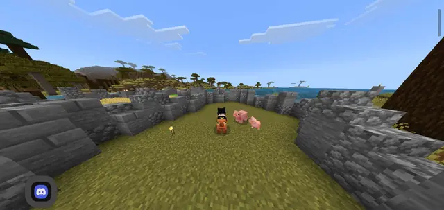 i love my new pets😍