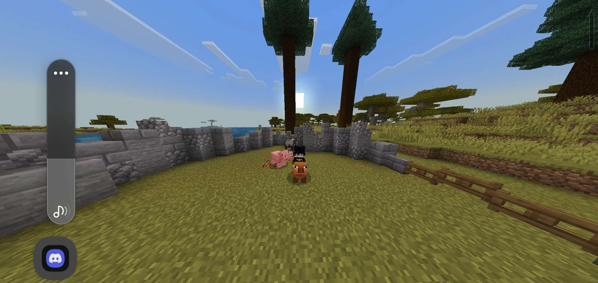 i love my new pets😍