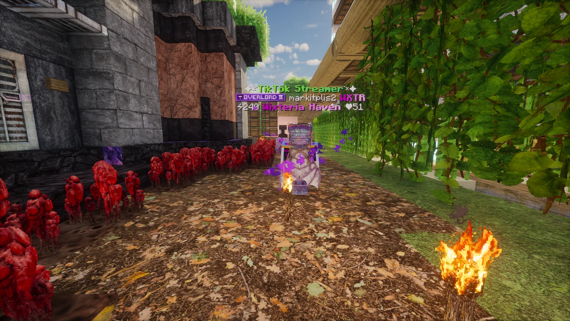 Texture pack flex, nothing serious 😂