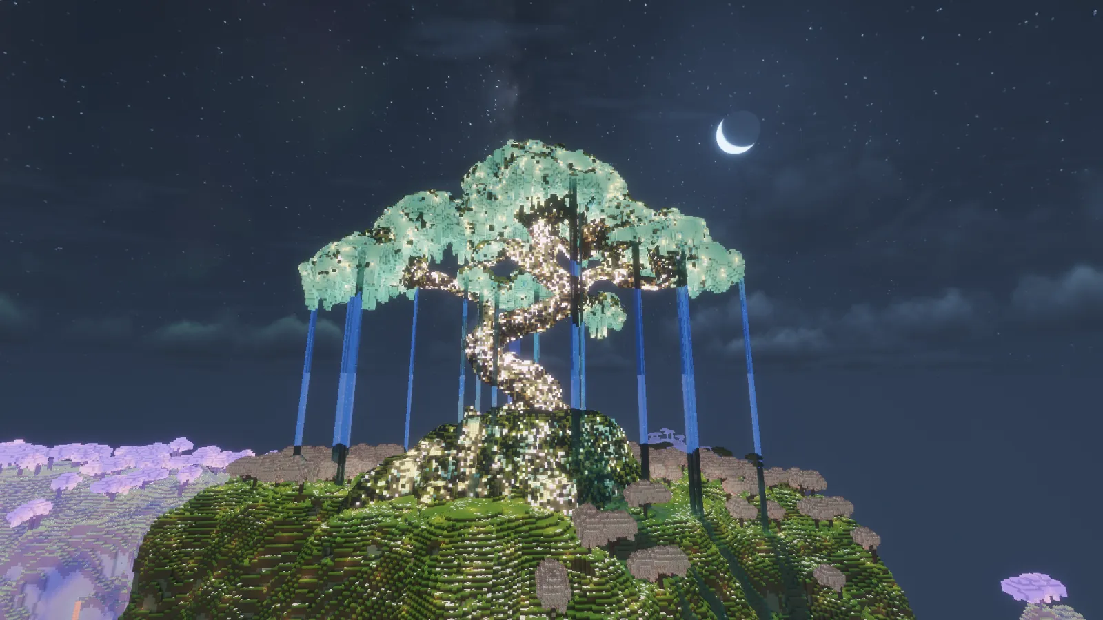 Starfern photo 4